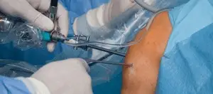 Serviços oferecidos